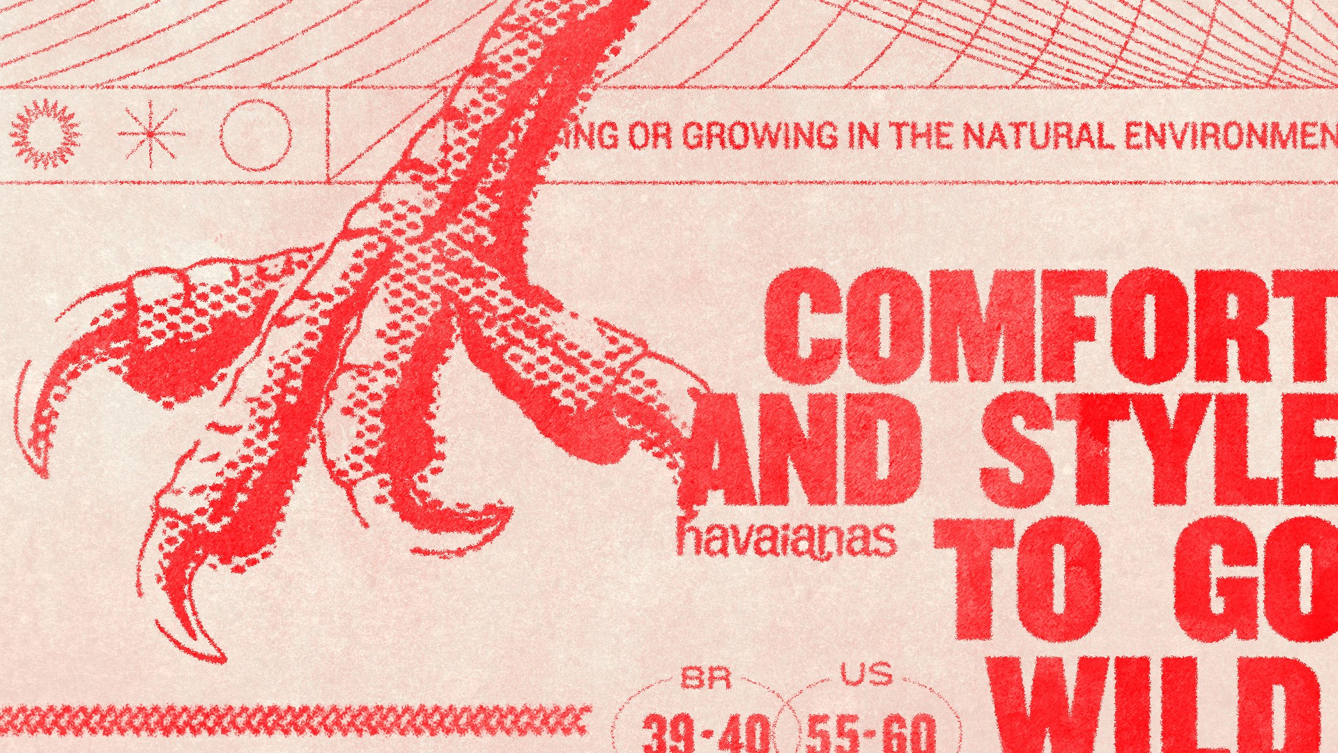 Havaianas To Go Wild